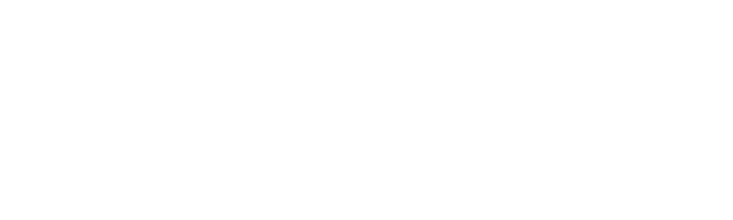 MadenBiz